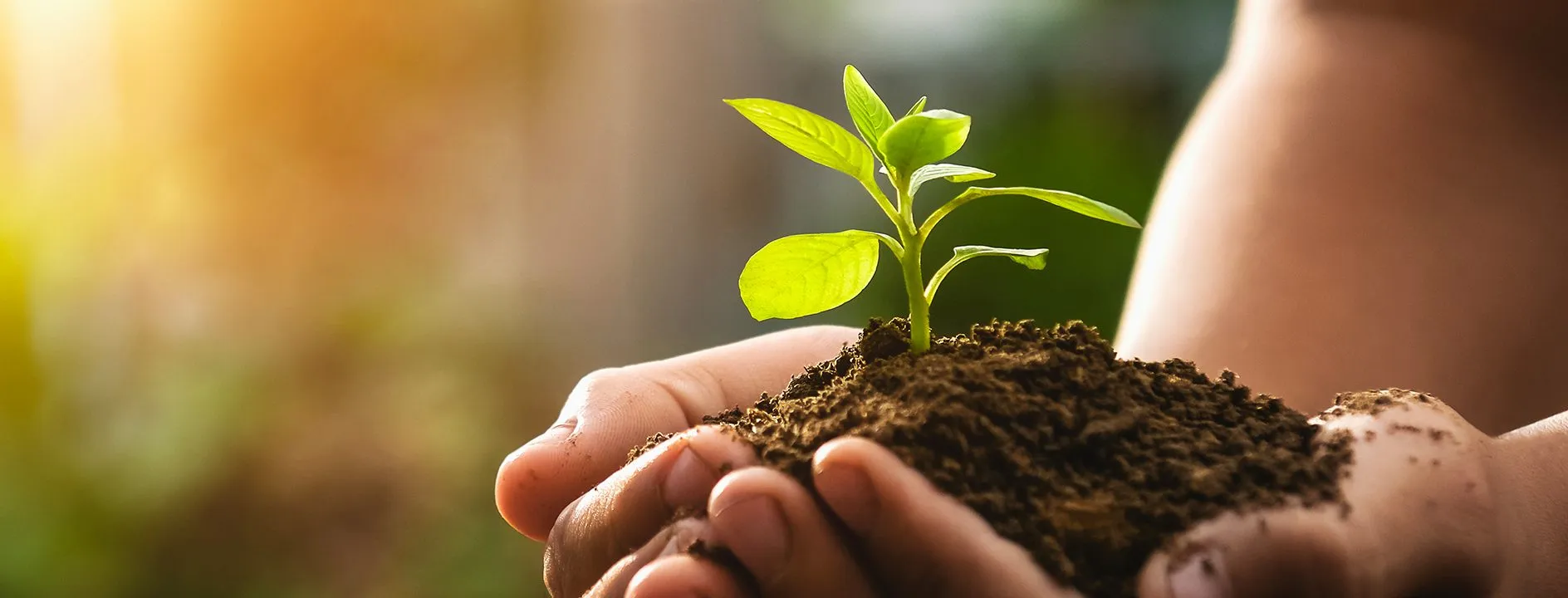 <h2>Protecting the future is our responsibility to nature and society. With this awareness, we act today to develop environmentally responsible and integrated solutions for sustainable tomorrows.</h2>