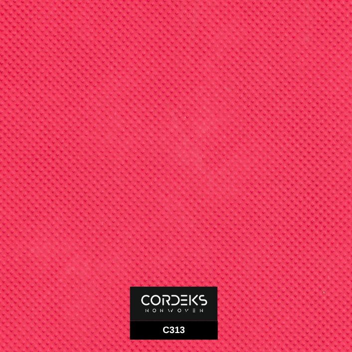 Color Catalog – C313